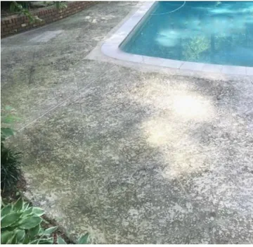 Before: concrete pool deck beside a pool